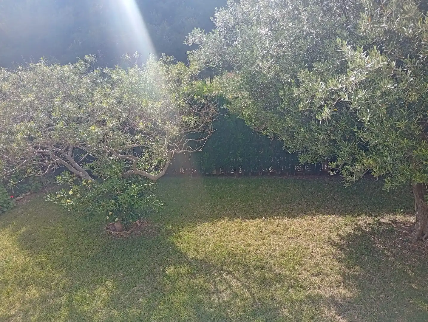 Casa o xalet en venda en Oropesa del Mar / Orpesa amb Jardí privat, Terrassa i Traster