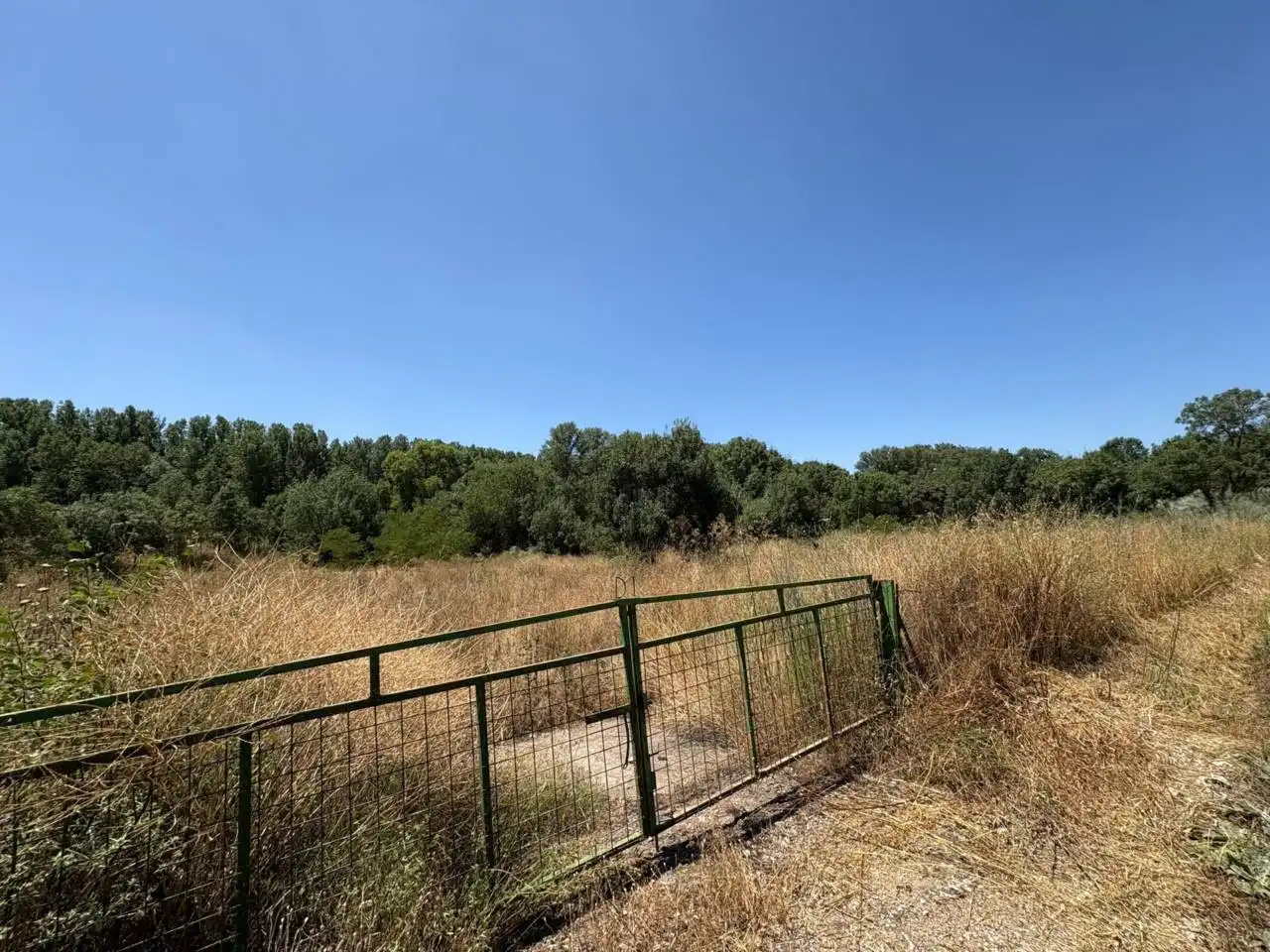 Terreno rustico in vendita a Ciudad Rodrigo, imagen 7