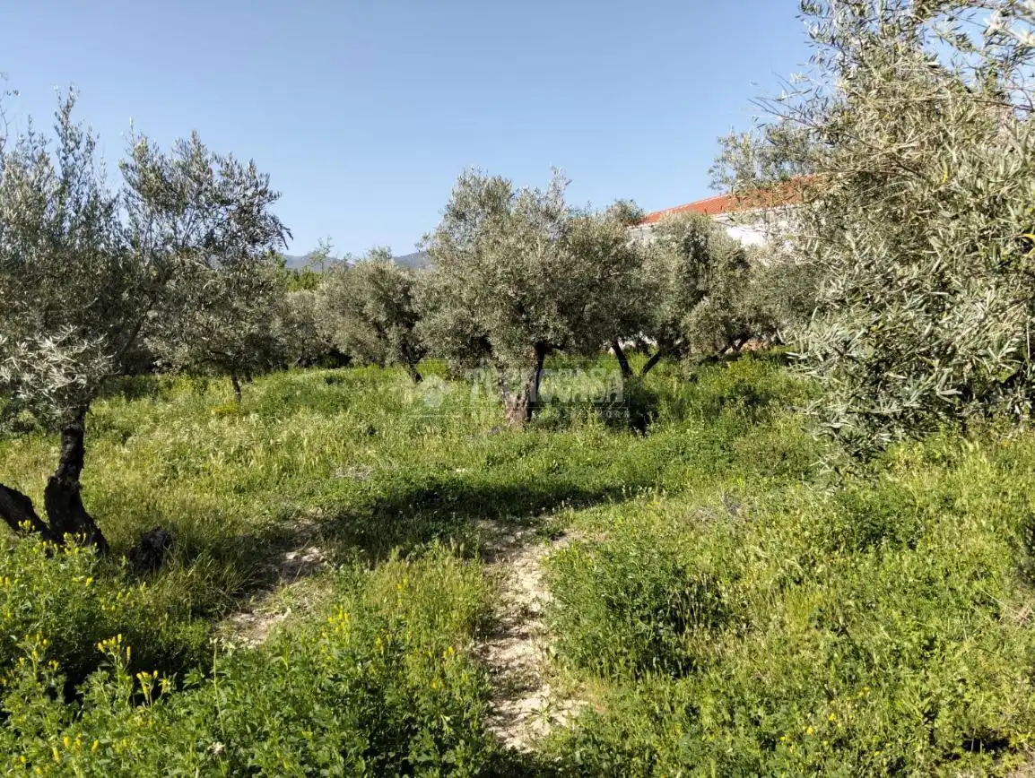 Rural land for sale in Dúrcal, imagen 5