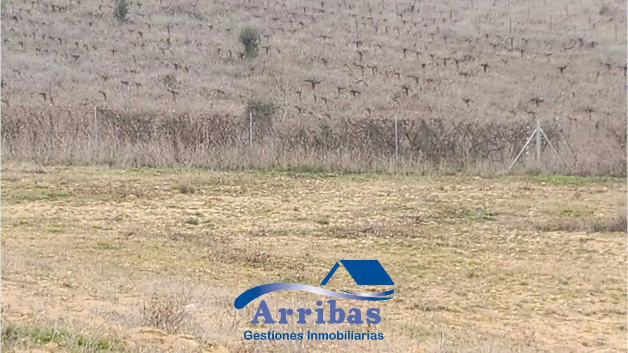 Country homes for sale in Escalona