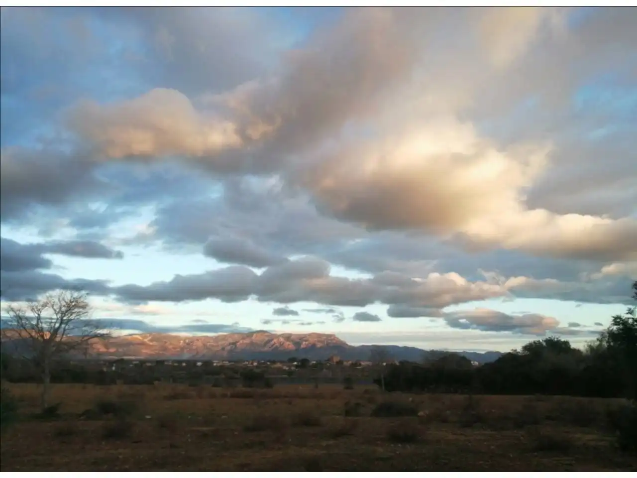 Rural land for sale in Calle Camino de Godall, imagen 2