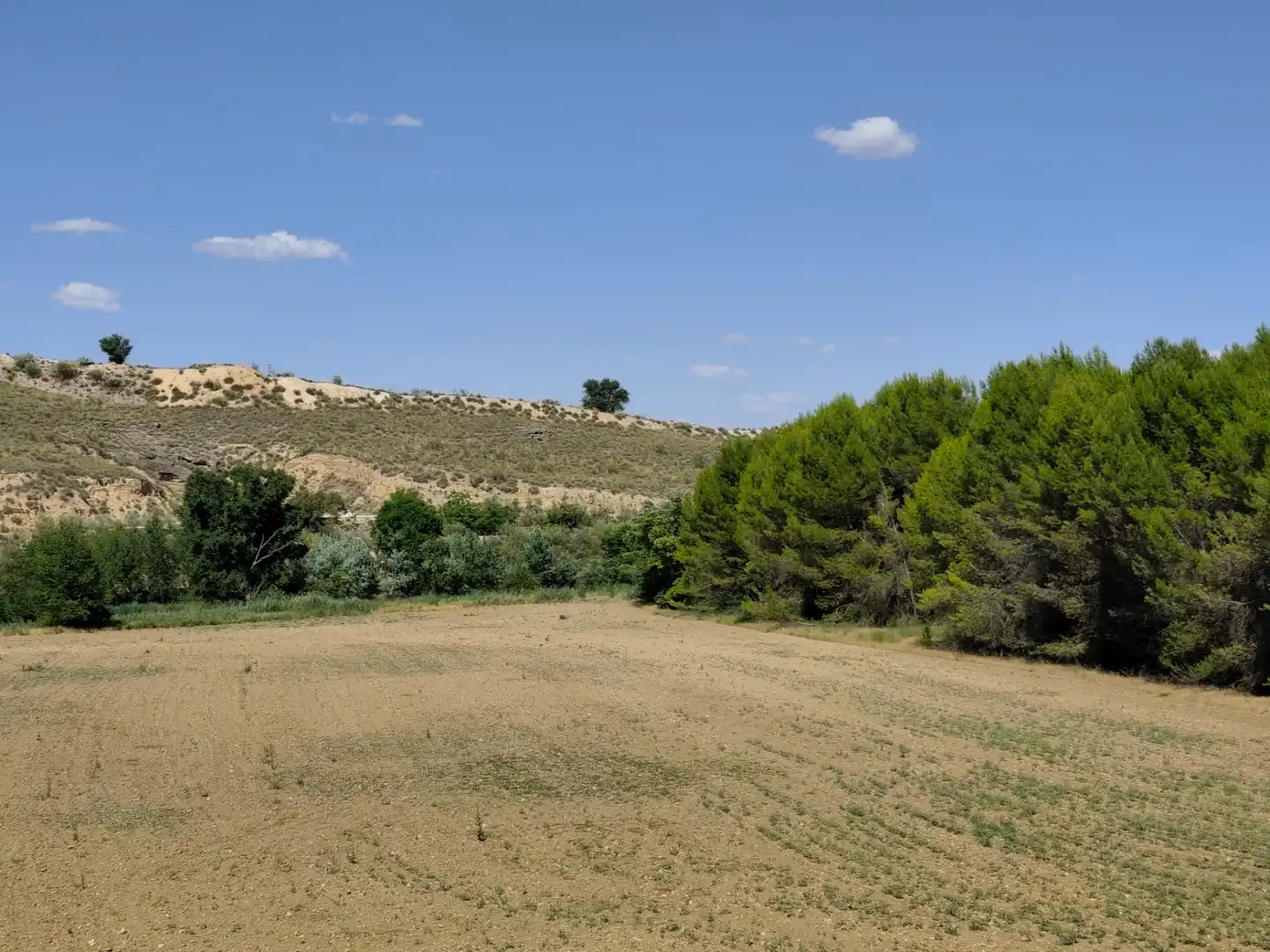 Casa o xalet en venda en Illana amb Jardí privat, Terrassa i Piscina
