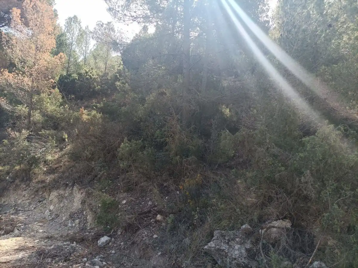 Residencial en venta en Lorca