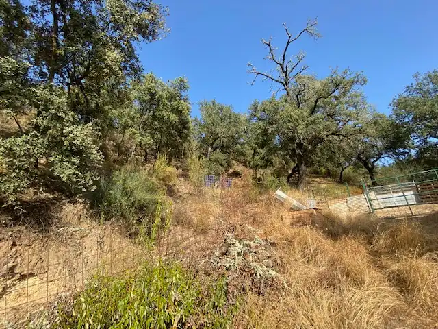 Terrenos y solares en venta en La Nava, imagen 5