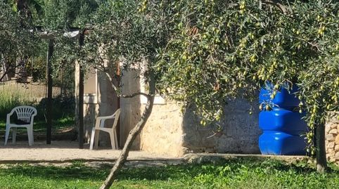 PRECIOSA FINCA EN SELVA, imatge 5