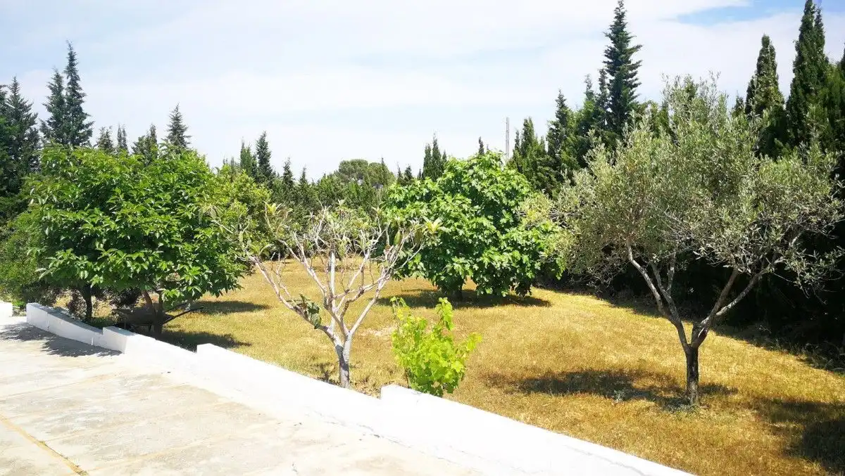 Jardín de Casa o chalet en venta en Montserrat con Aire acondicionado, Jardín privado y Terraza