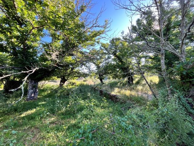 Terreno residencial en Venta en  Carretera HV HV-3113, HV-31 en Fuenteheridos