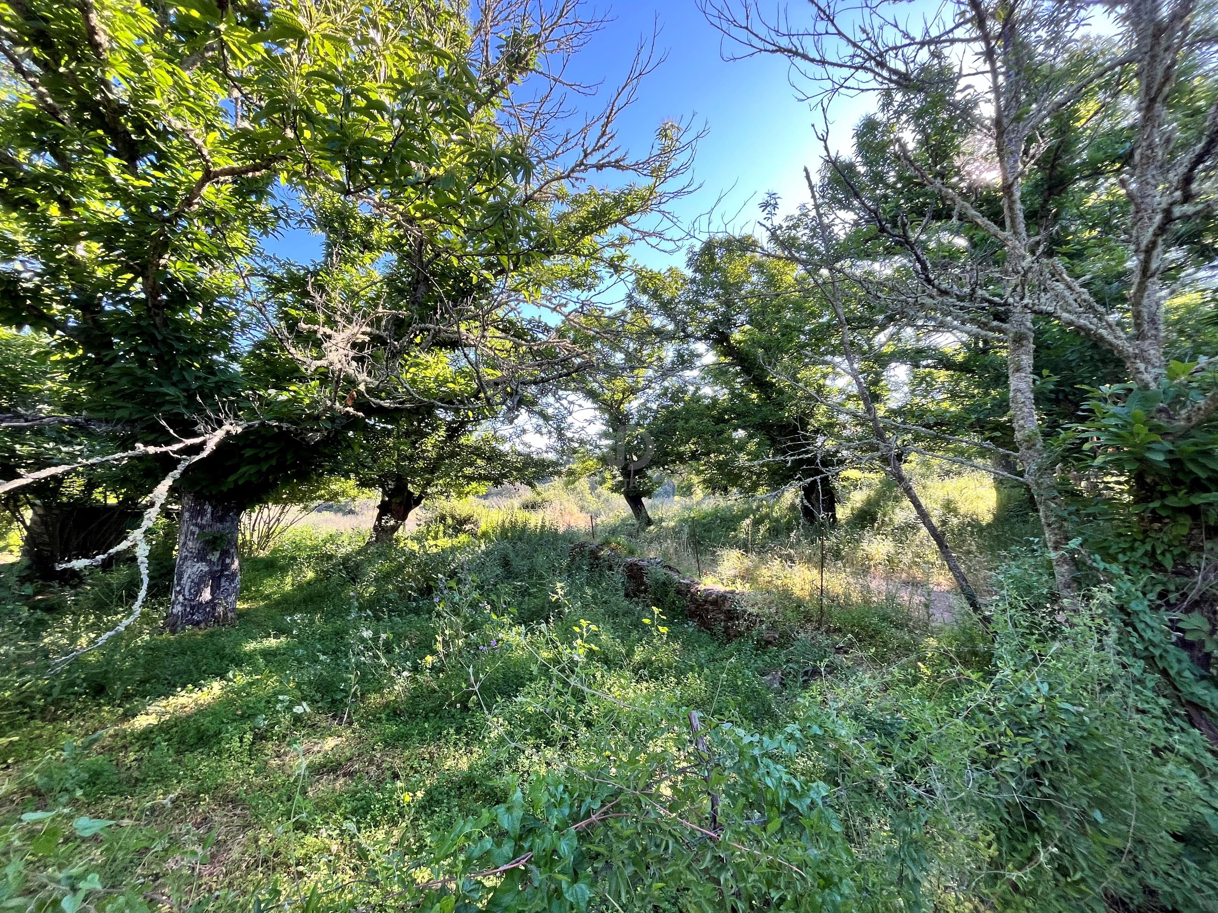 Residencial en venda en Fuenteheridos