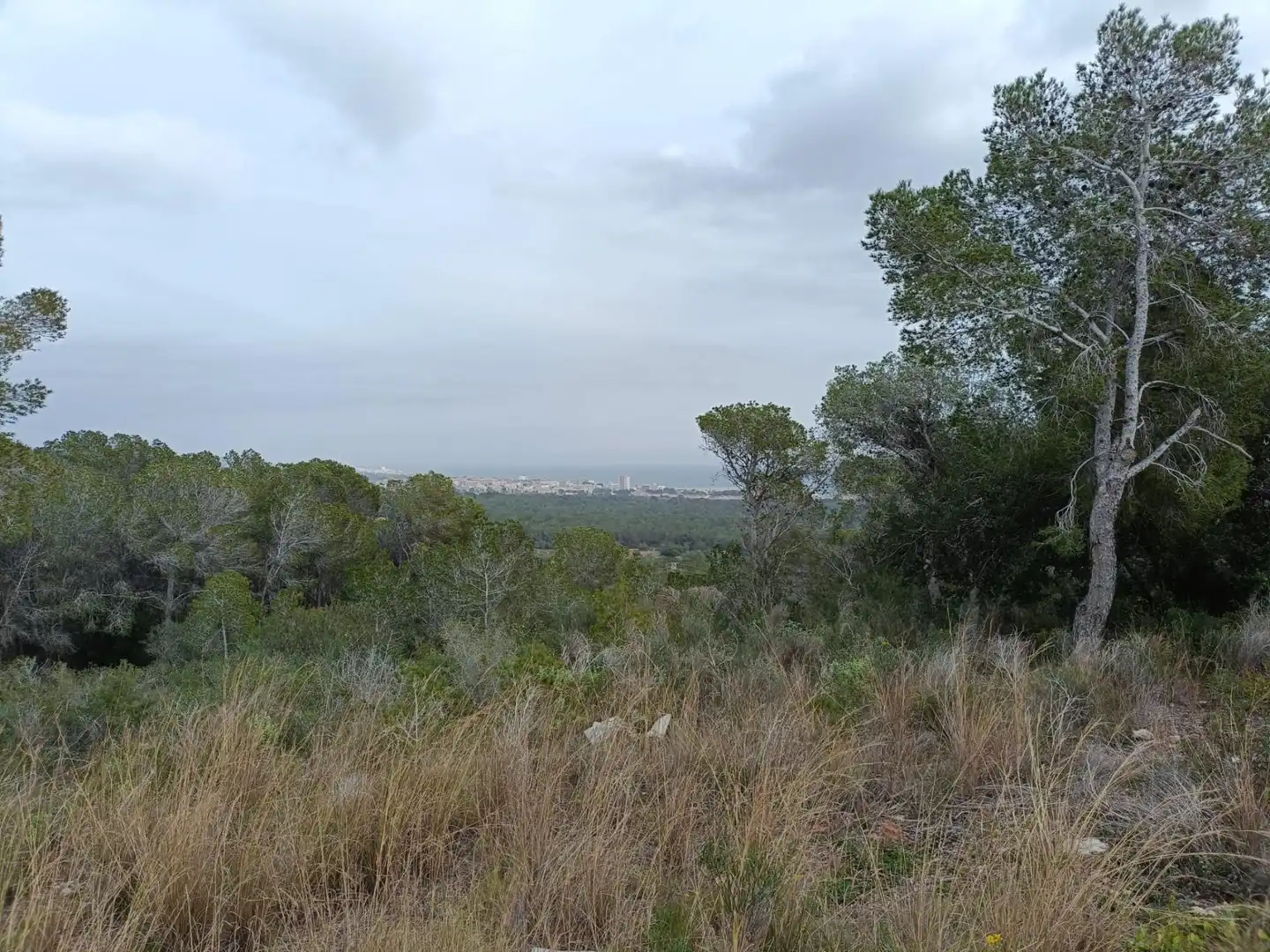 Terreny residencial en venda a Mas Borràs - Coto del Rey, imagen 8