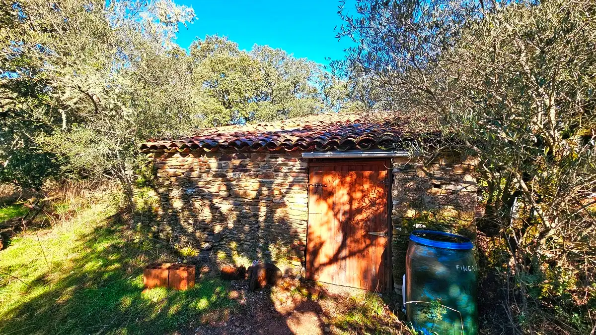 Jardí de Casa o xalet en venda en Los Marines amb Jardí privat, Terrassa i Traster