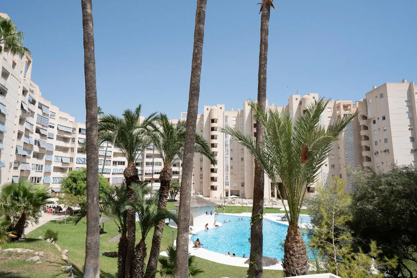 Piscina de Apartament en venda en El Campello amb Jardí privat, Terrassa i Balcó