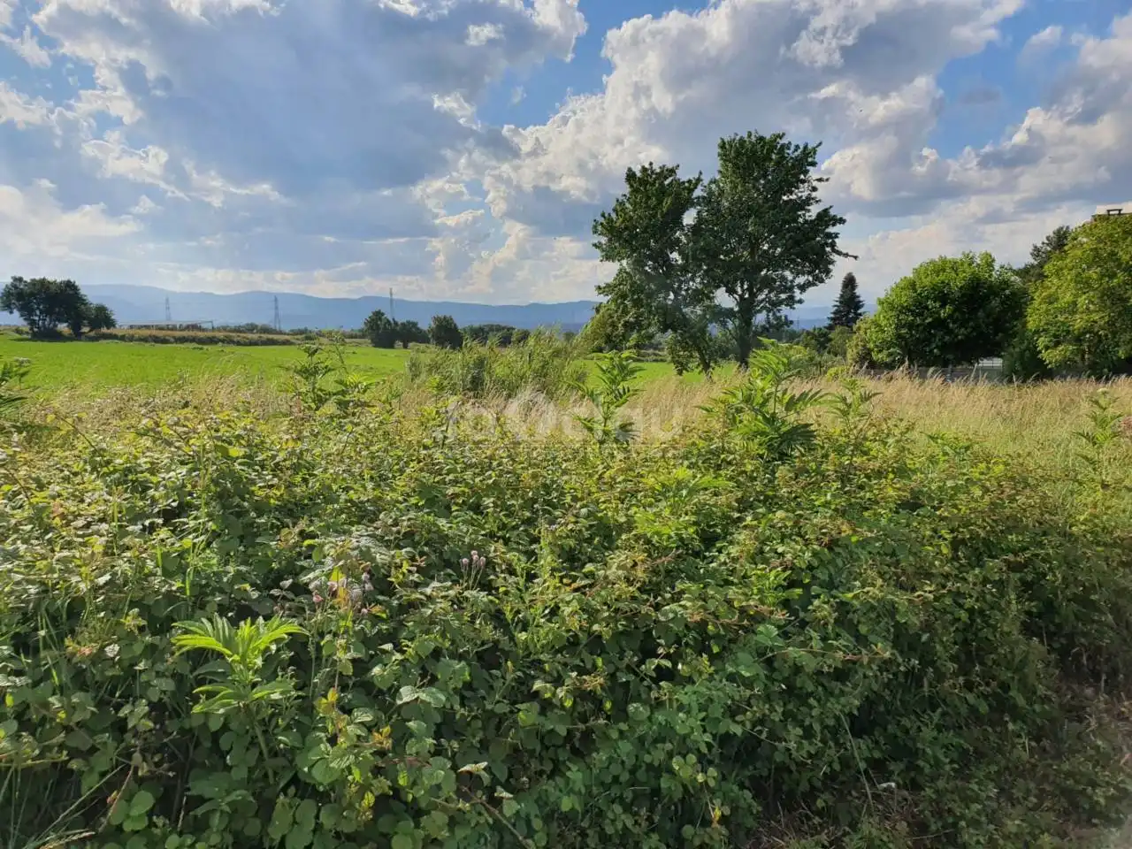 Terrain rustique à vendre à Seva, imagen 3