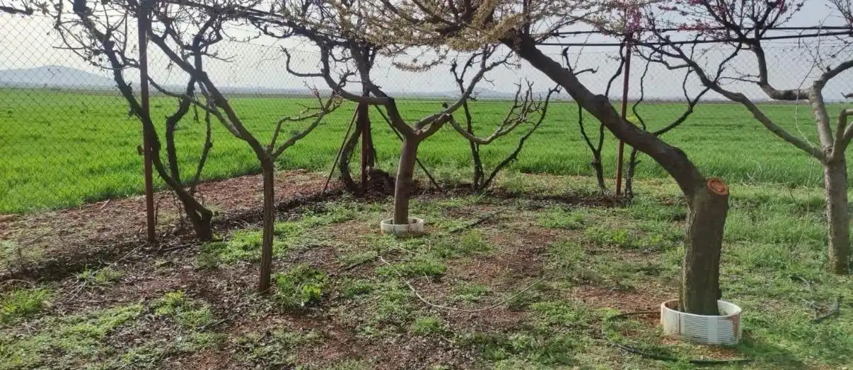 Casa rústica en venda a Valdepeñas, imagen 10