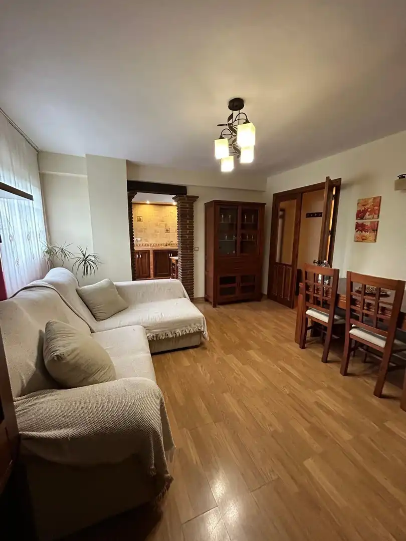 Sala d'estar de Pis en venda en Málaga amb Aire condicionat, Calefacció i Moblat