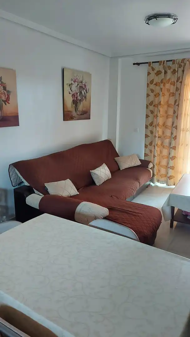 Living room of Apartments for rent in Algeciras  with Furnished and Community pool