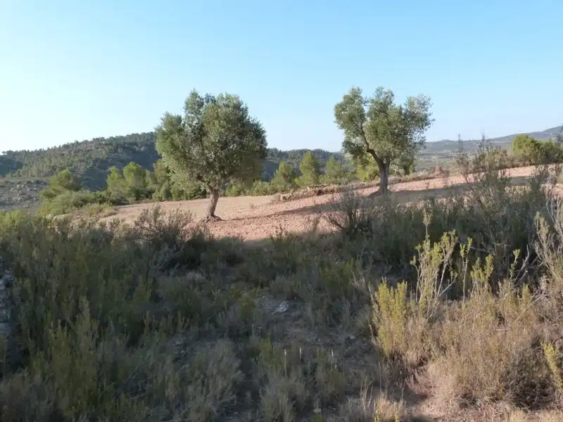 Finca rústica en venta en Calaceite