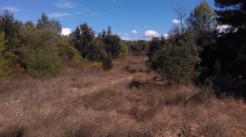 Photo 5 of Land for sale in Els Guiamets, Tarragona