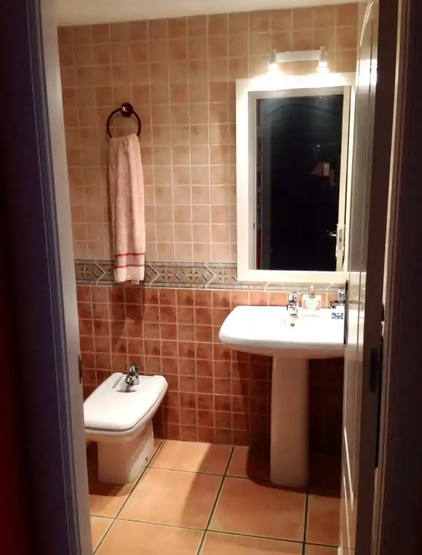 Bathroom of Flat for rent in Torrox  with Private garden, Swimming Pool and Furnished