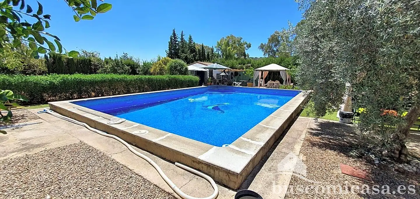 Piscina de Casa o xalet en venda en Linares amb Aire condicionat, Calefacció i Jardí privat
