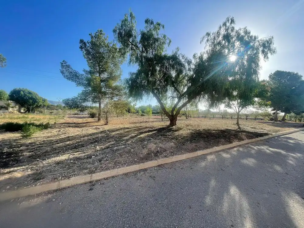 Terreny residencial en venda a El Pinós / Pinoso, imagen 6