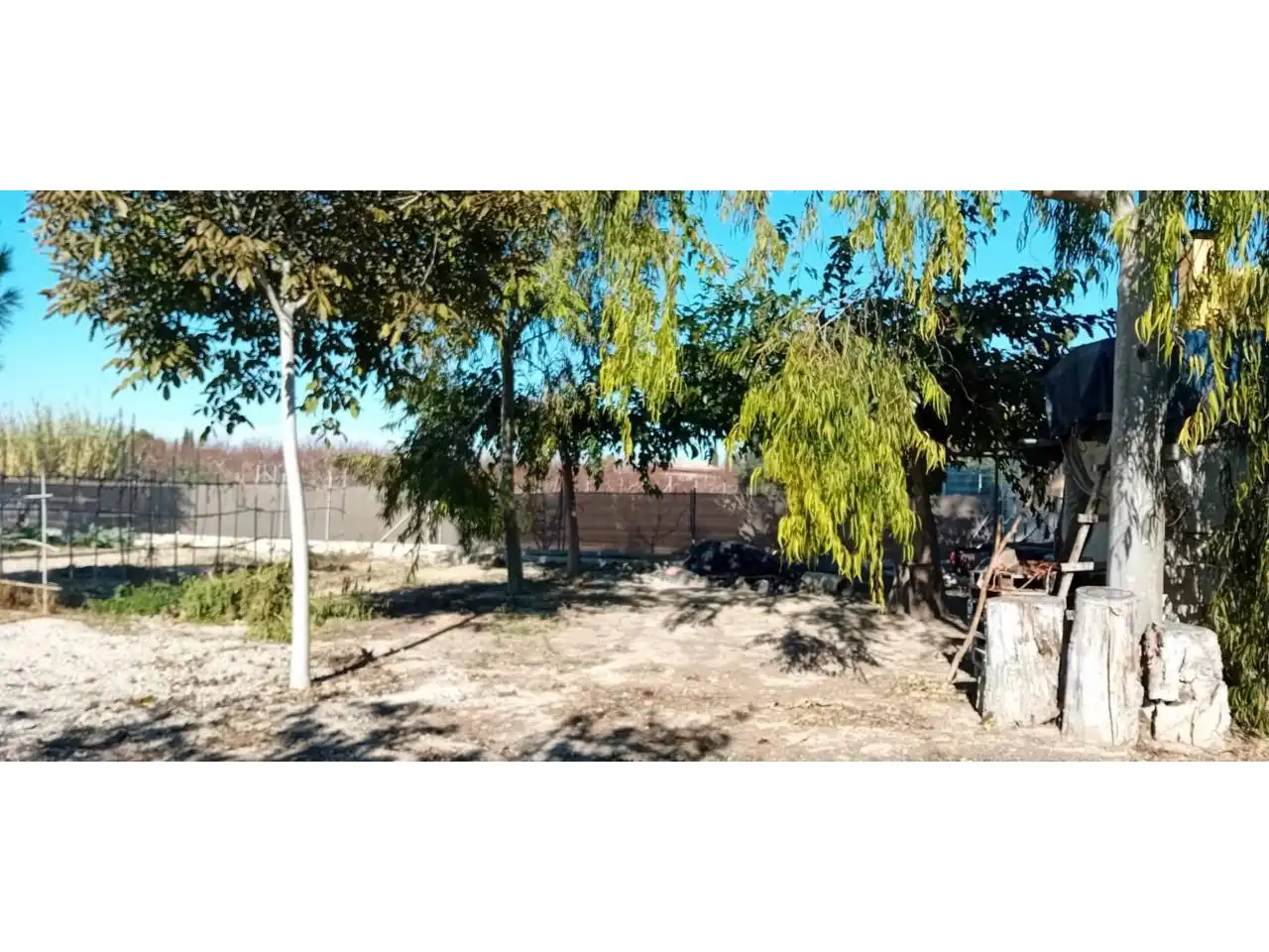 Terreny rústic en venda a Camino Paraje, imagen 13
