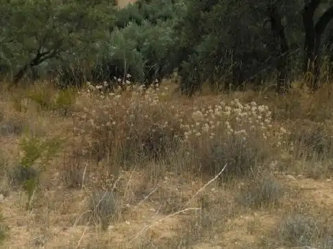 Terreni e lotti in vendita a Alhama de Granada, imagen 7