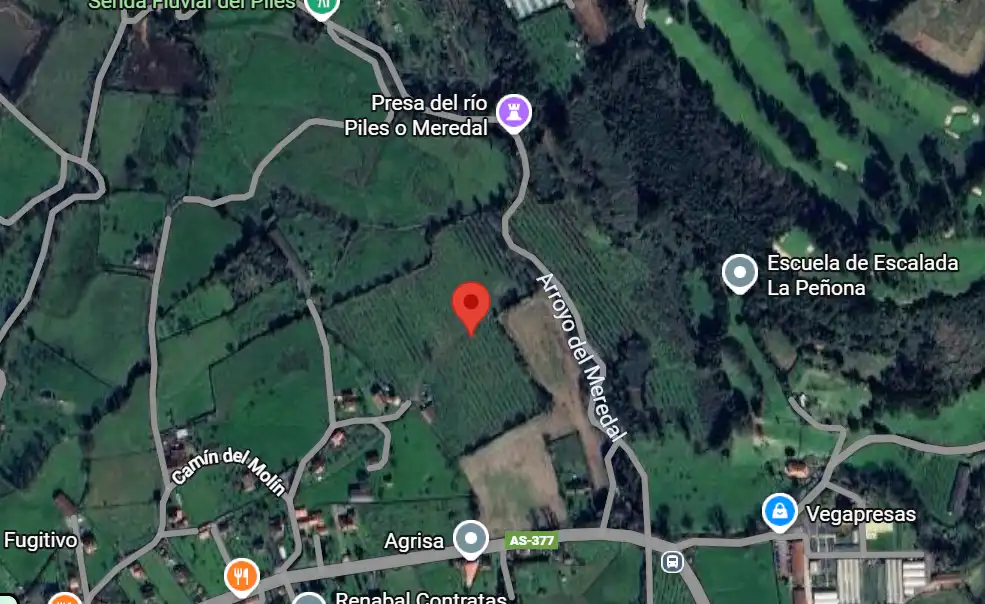 Terrenos y solares en venta en CUESTINA-VEGA 90 Polígono 99 Parcela 197 EL PRAU Y LA VEGA, imagen 3