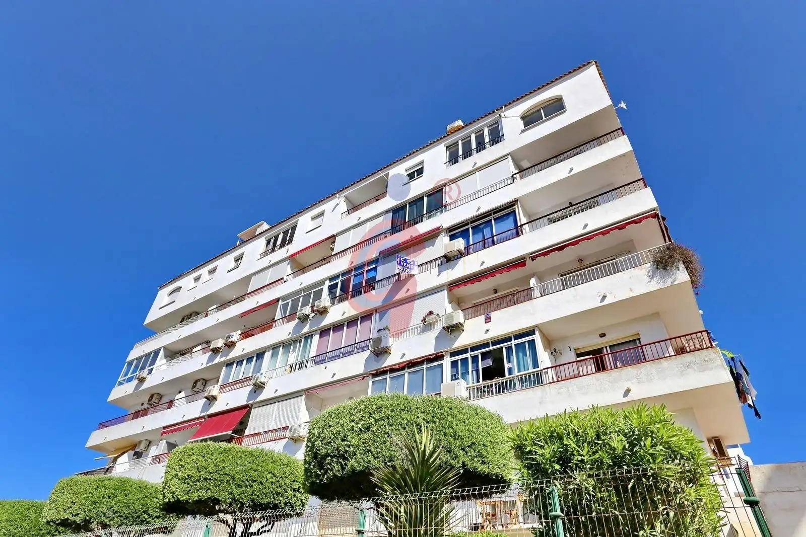 Vista exterior de Estudio en venta en Torrevieja con Terraza y Piscina comunitaria