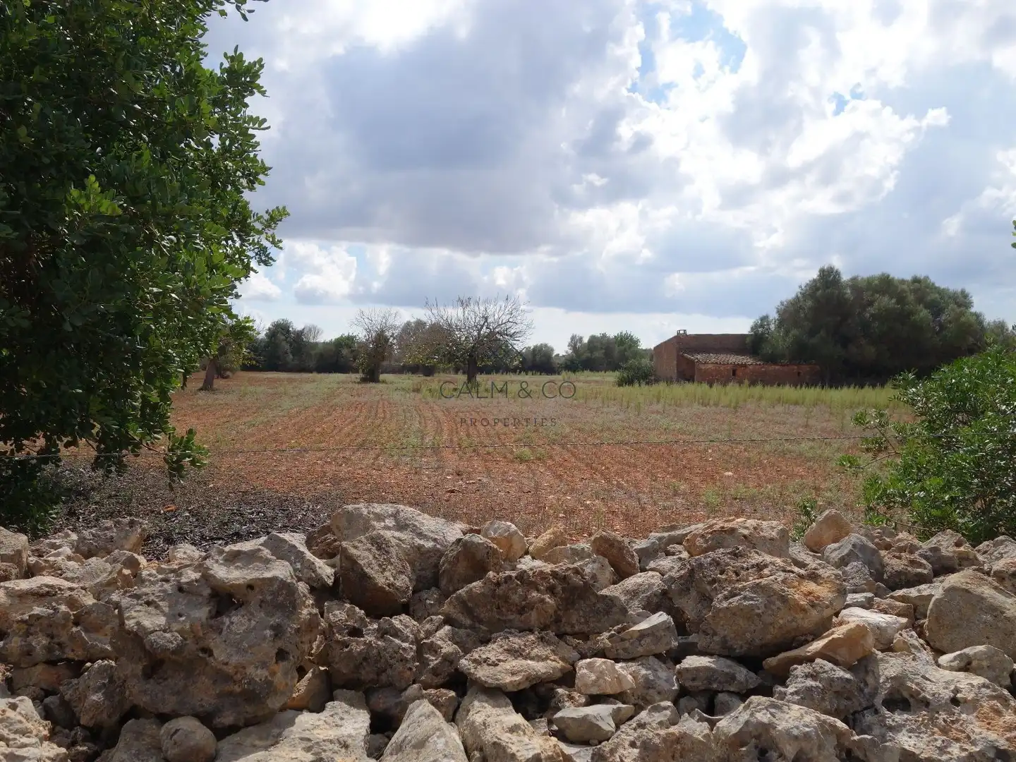 Residential land for sale in Felanitx Poble, imagen 14