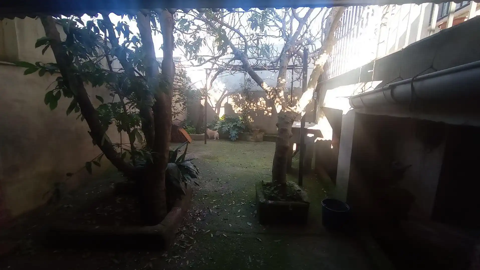 Jardí de Casa adosada en venda en Abenójar amb Aire condicionat, Jardí privat i Traster