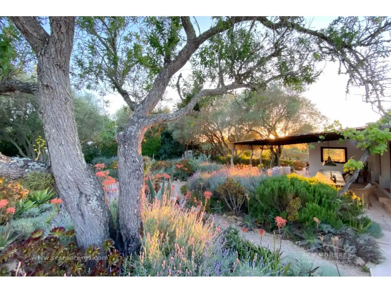 Country homes for sale in Alaior poble