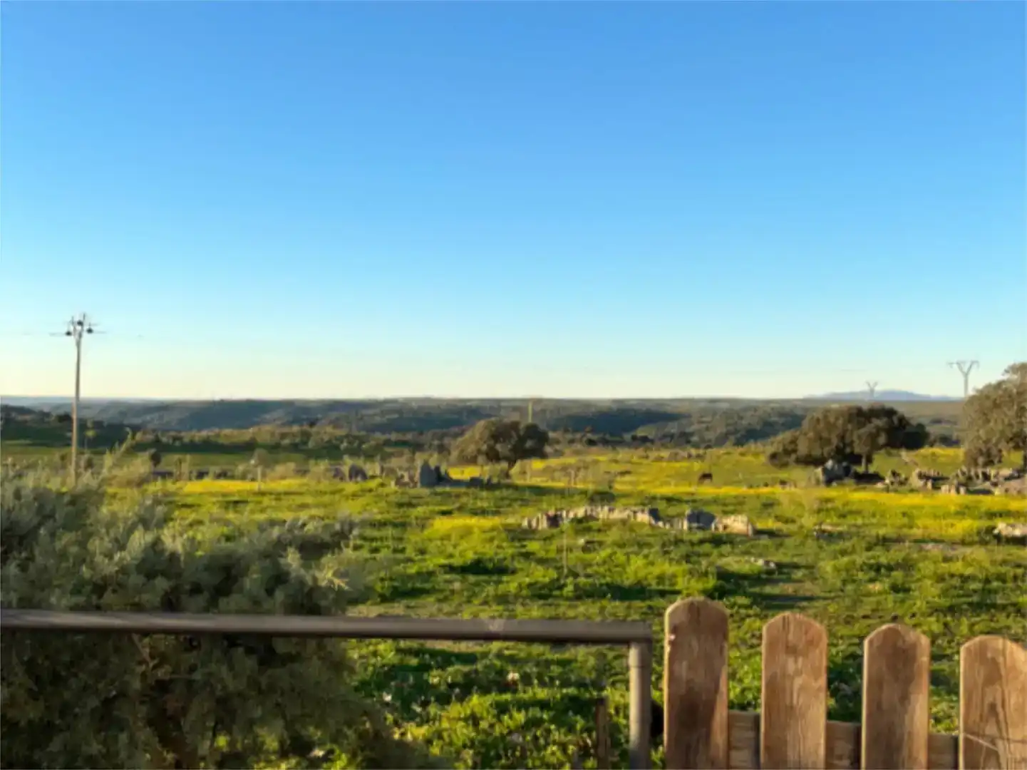 Vista exterior de Finca rústica en venda en Cáceres Capital amb Piscina