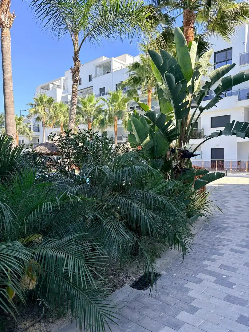 Flat for rent in Playa de Granada