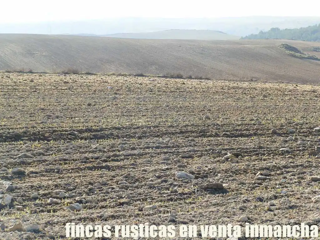Terreni e lotti in vendita a Huete, imagen 6