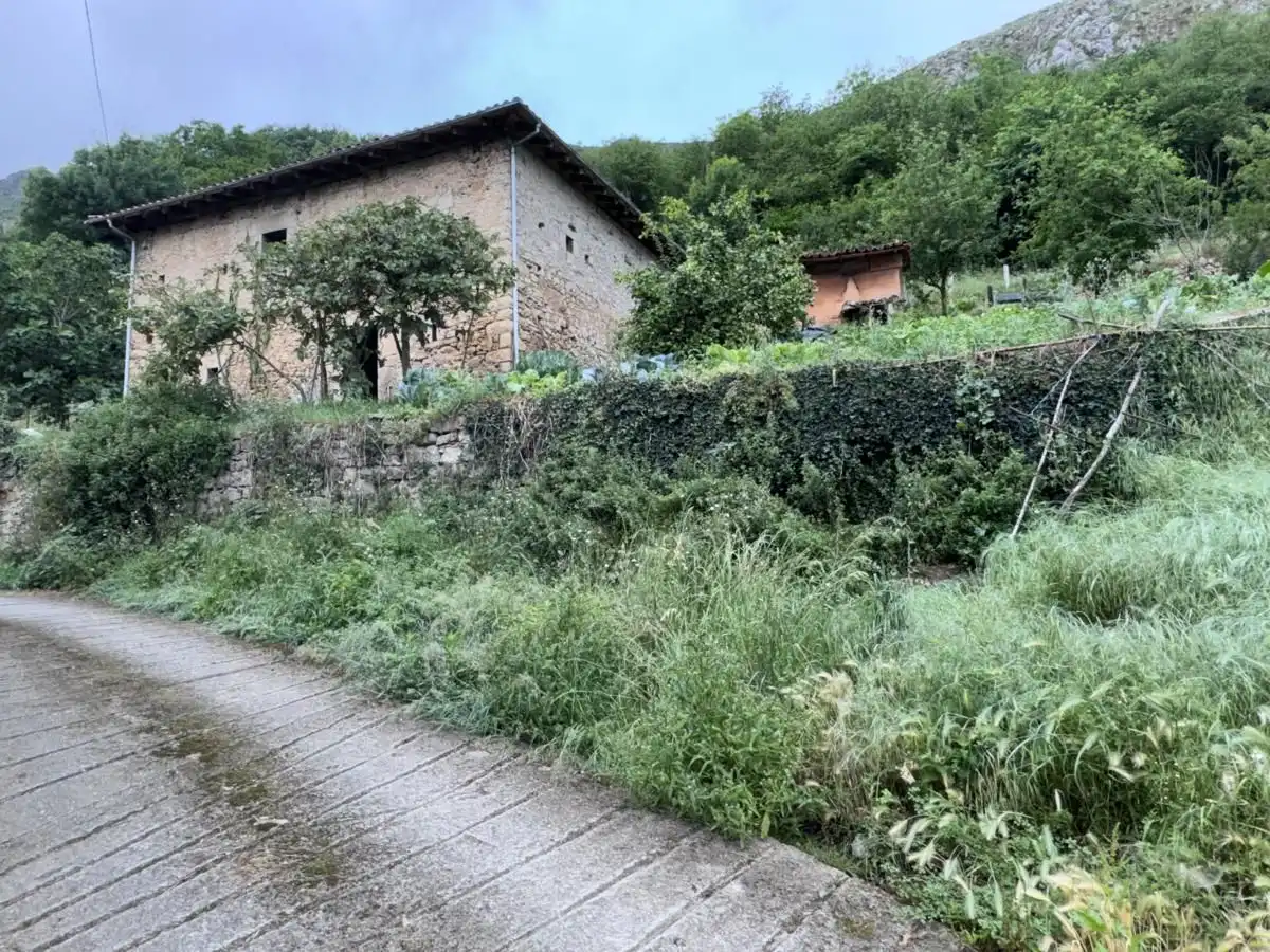 House for sale in Peñamellera Alta, imagen 9