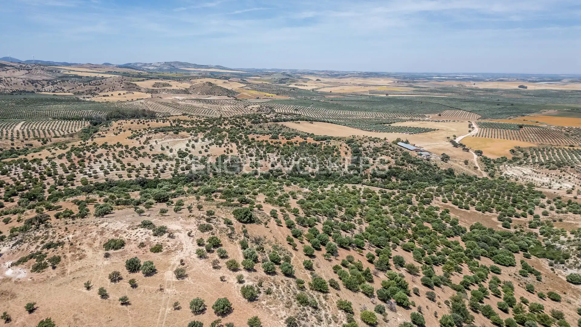Casa o xalet en venda en Osuna amb Calefacció, Jardí privat i Terrassa