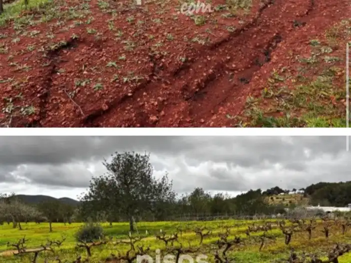 Rural land for sale in Calle Port de Sant Miquel 90, imagen 3