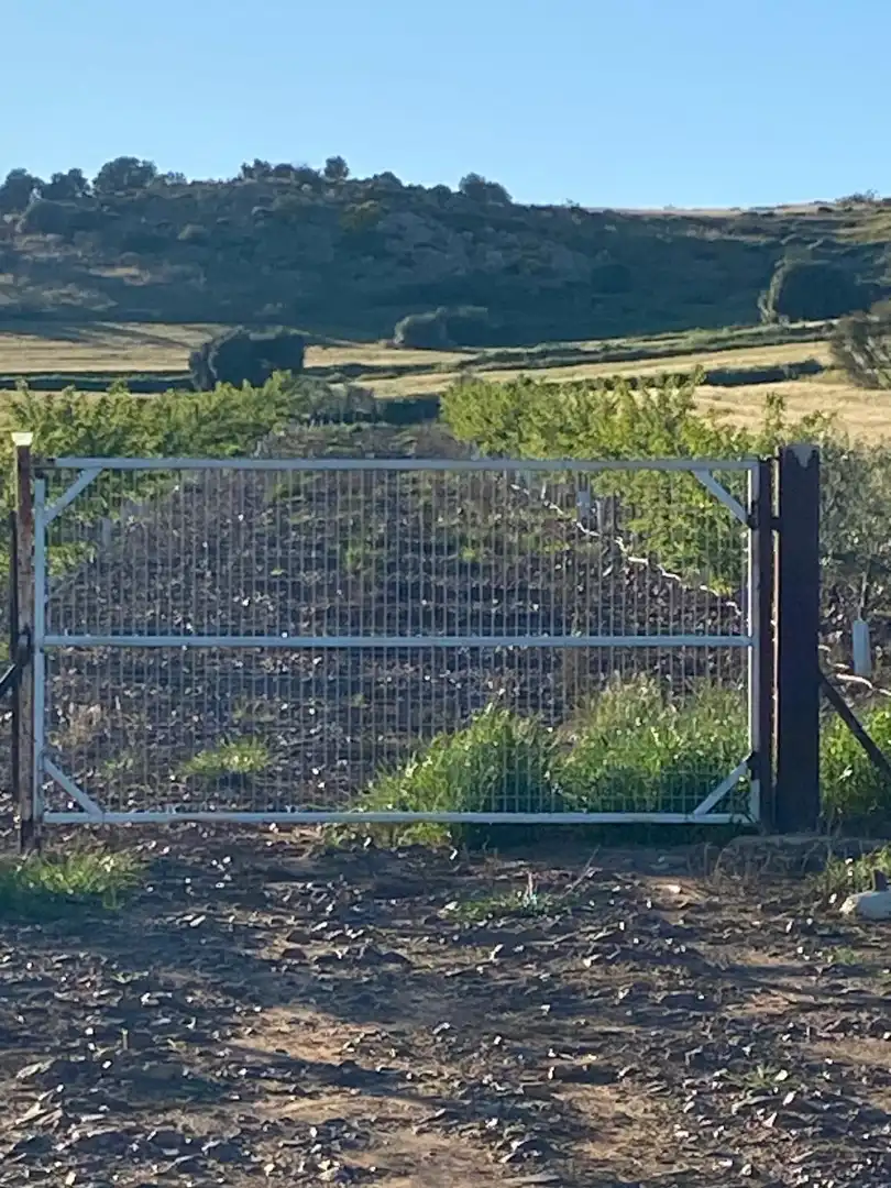 Terreny rústic en venda a Magacela, imagen 4
