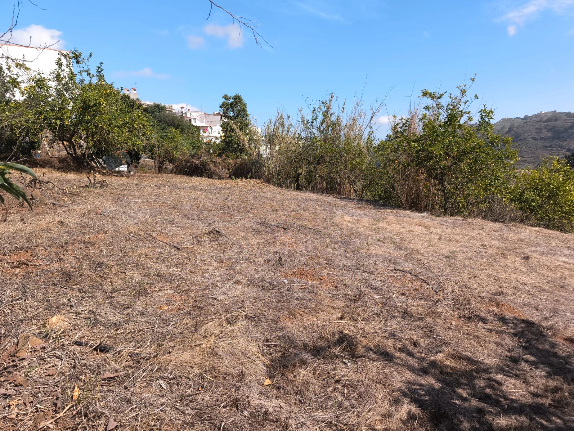 Terreno en venta en Teror