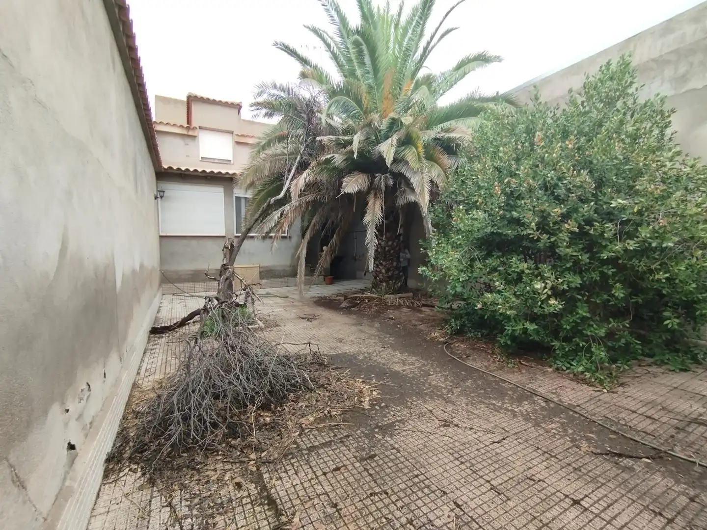 Casa con terrazza in vendita a Calle Duque de Alba