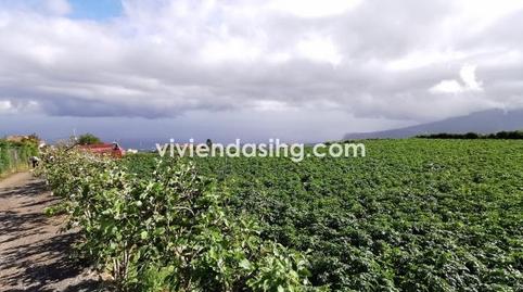 Foto 3 de Casa o xalet en venda a Camino la Iglesia, La Perdoma - San Antonio - Benijos, La Orotava