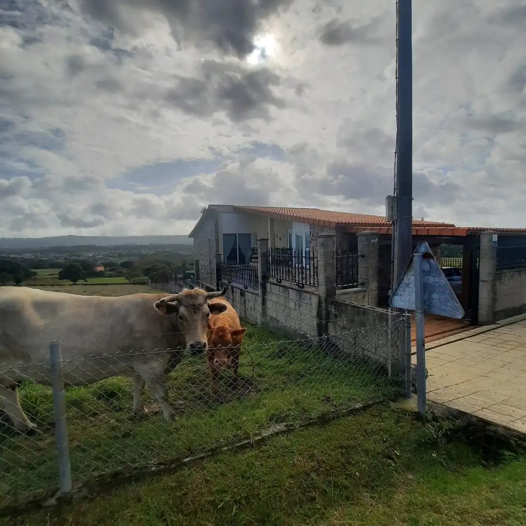 Casa amb terrassa en venda a Valdoviño, imagen 84
