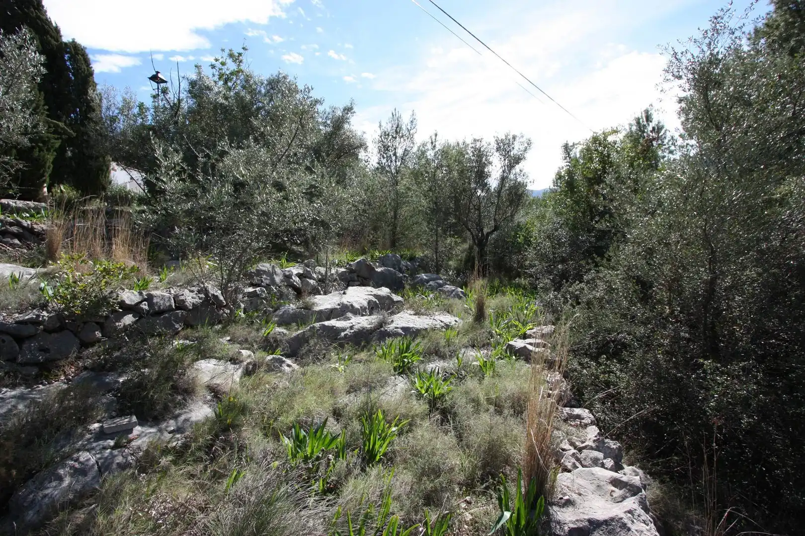Residential land for sale in Orba, imagen 8