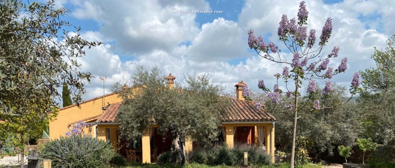 Vista exterior de Casa o xalet en venda en Trujillo amb Aire condicionat, Calefacció i Jardí privat