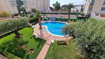 Swimming pool of Apartment for sale in Gandia  with Terrace, Furnished and Community pool