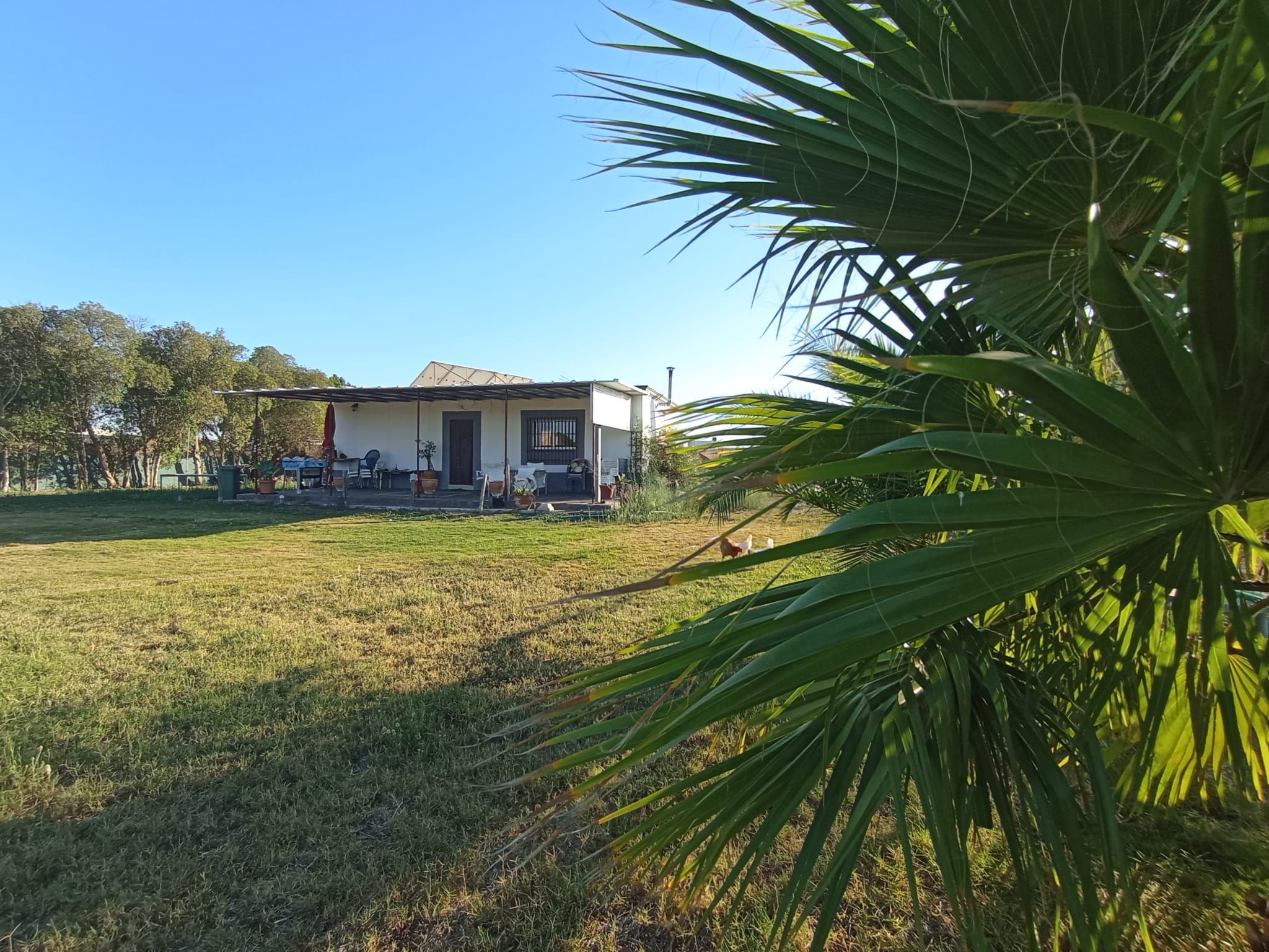 Vista exterior de Finca rústica en venta en Chipiona con Calefacción