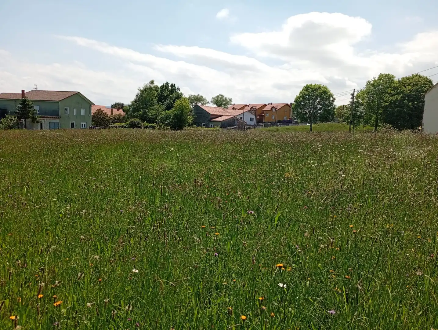 Terreno residencial en venta en Santillana del Mar, imagen 4