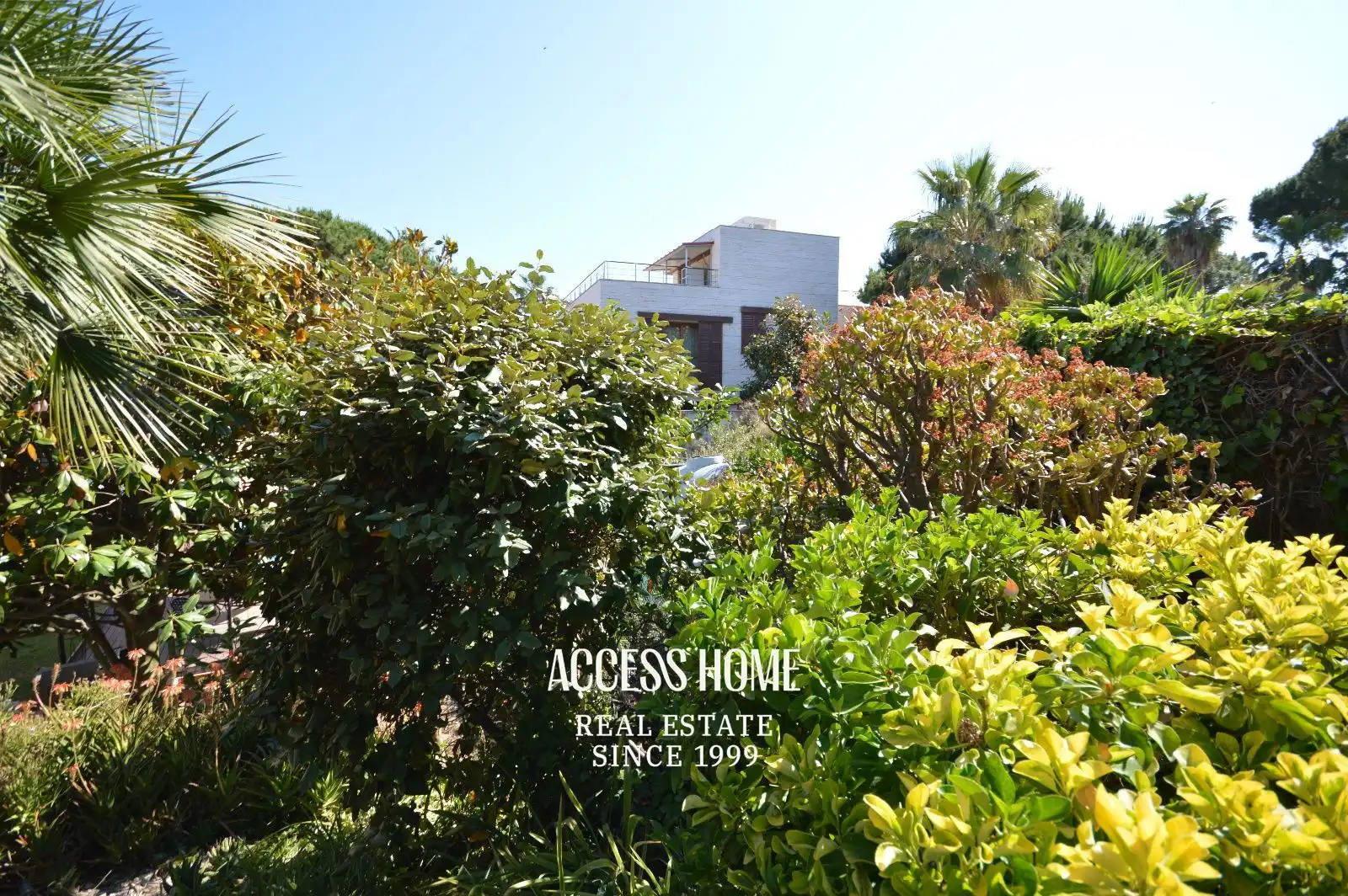 Rural land for sale in Alella, imagen 2