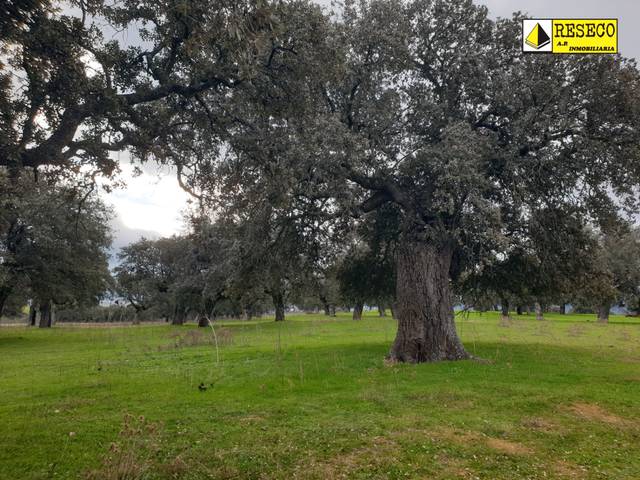 Terreno en Venta en Castilblanco