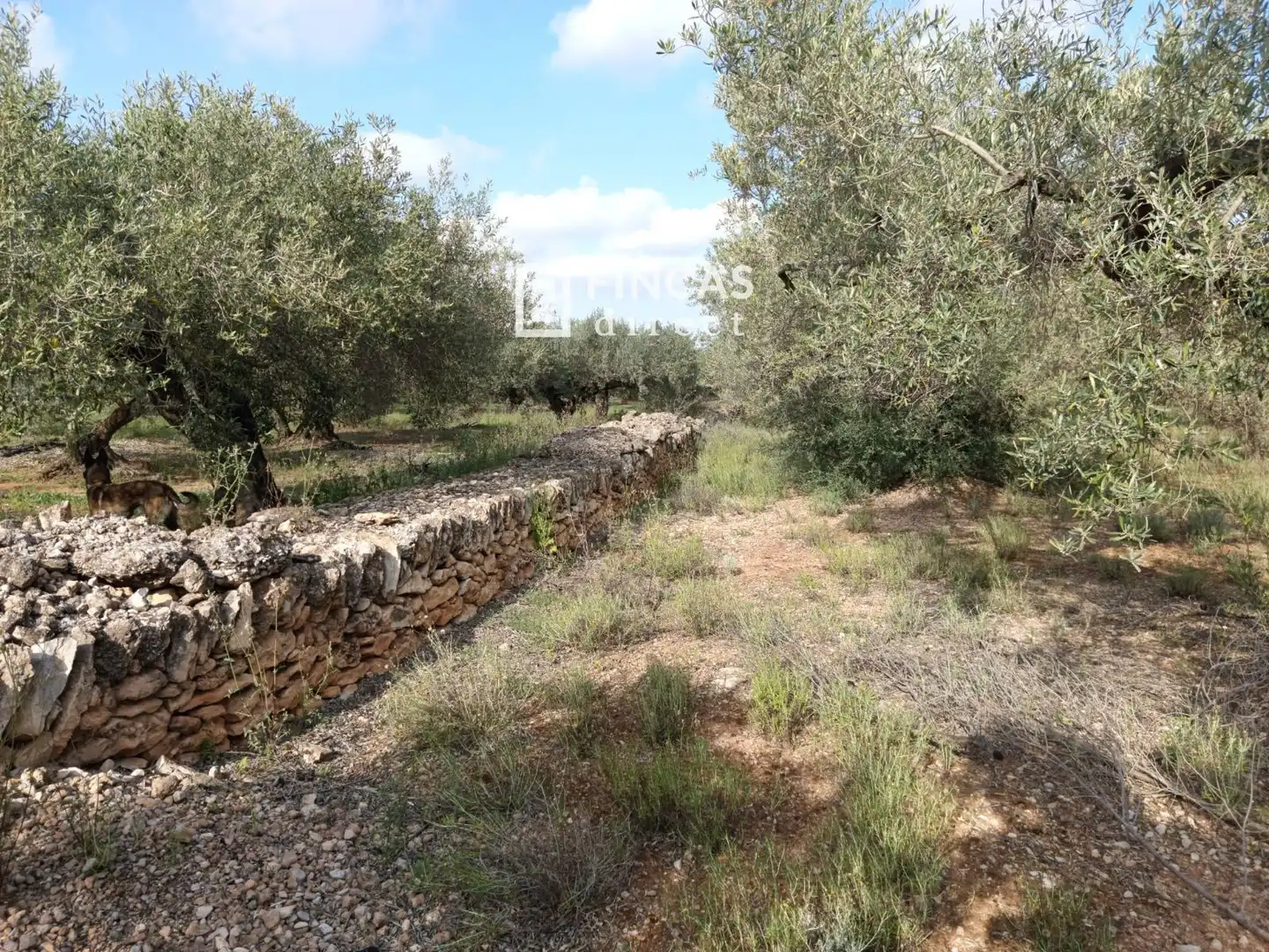 Country house for sale in QJMJ+85J, imagen 18